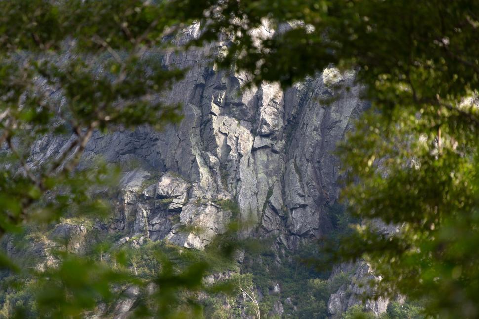 Free Image of Rocky cliff face framed by foliage 