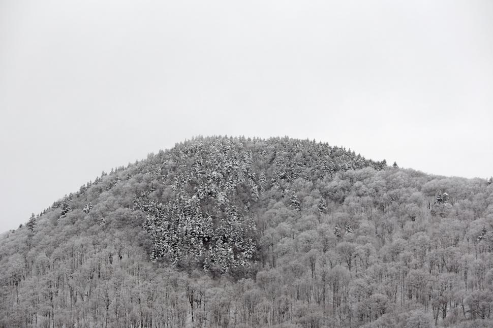 Free Image of Winter wonderland with snow-covered forest hill 