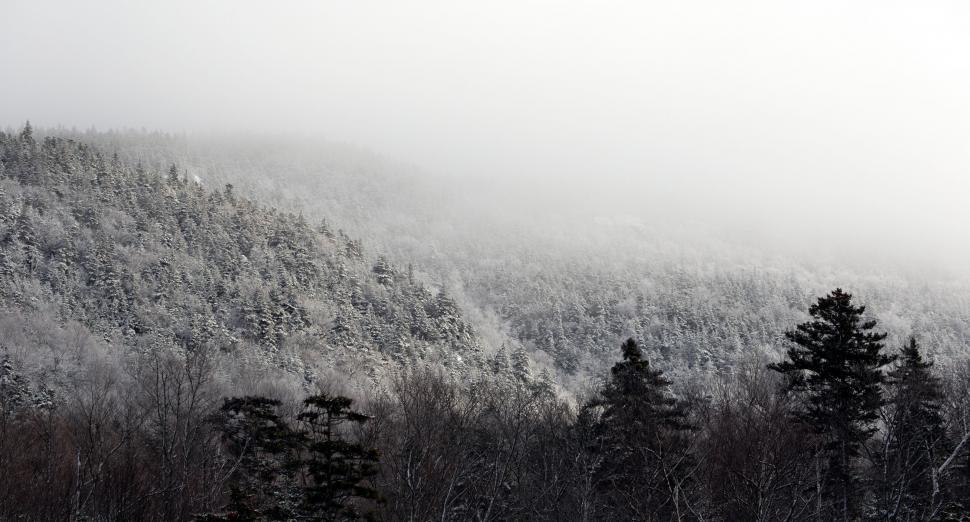 Free Image of Winter Landscape with Fog and Snow 