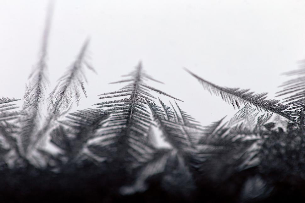 Free Image of Intricate frost crystal patterns on window 