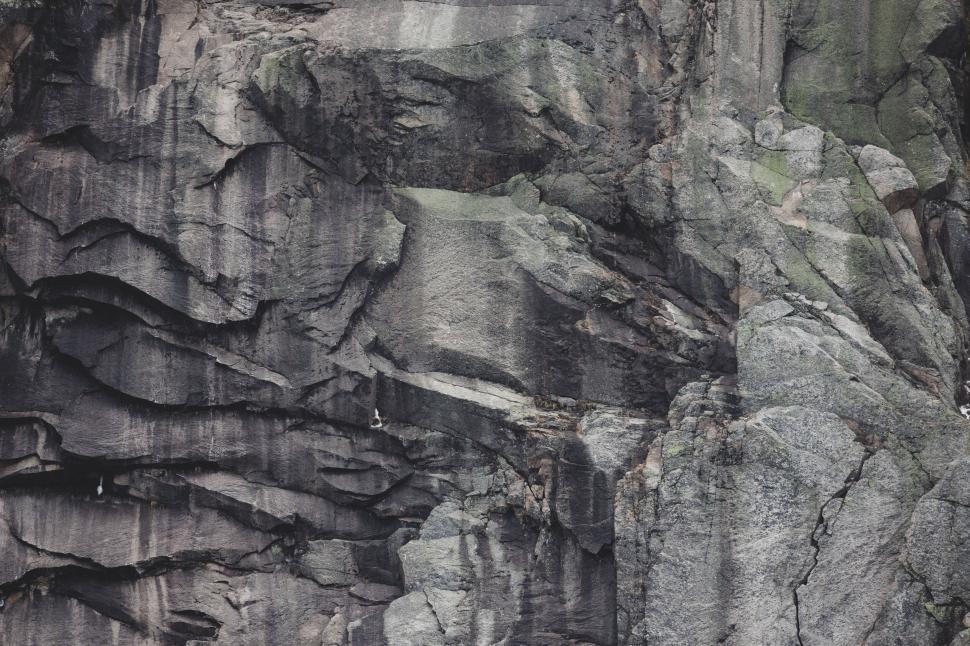 Free Image of Textured rock face with intricate patterns 