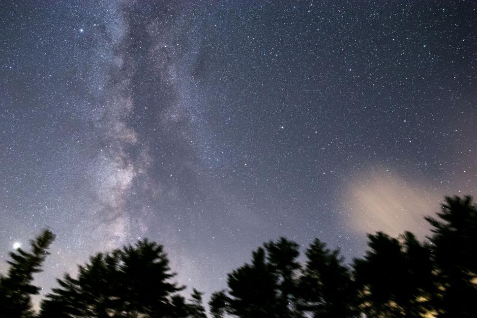 Free Image of Starry night sky with Milky Way over trees 