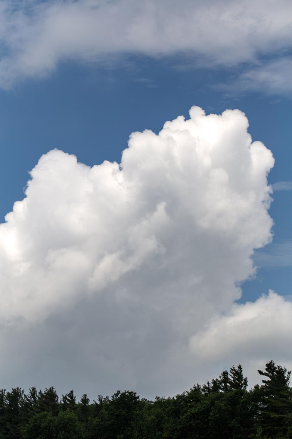 Free Image of Cumulus clouds over a lush treeline 