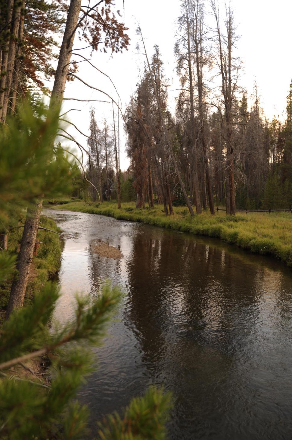 Free Image of Curved River  