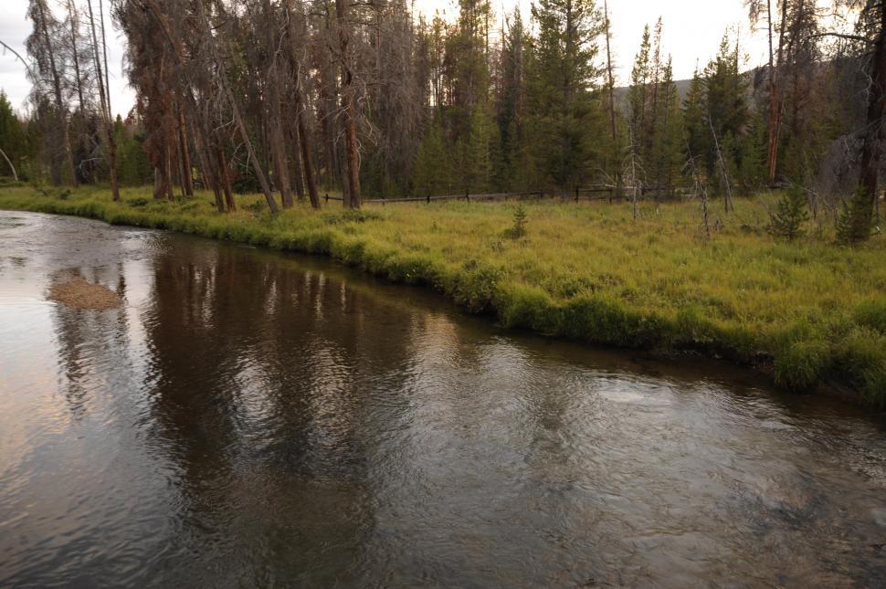 Free Image of Lake with trees 
