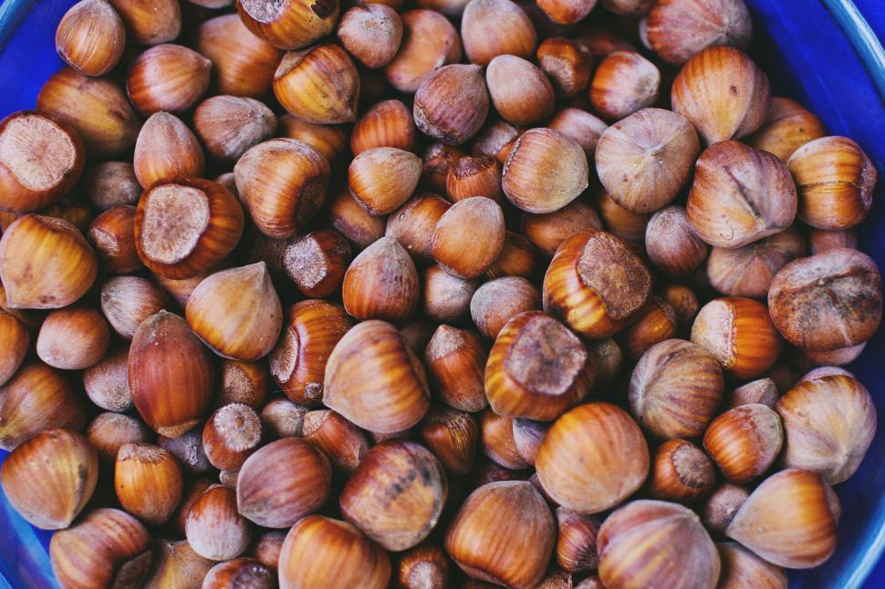 Free Image of Heap of hazelnuts in a blue bowl 