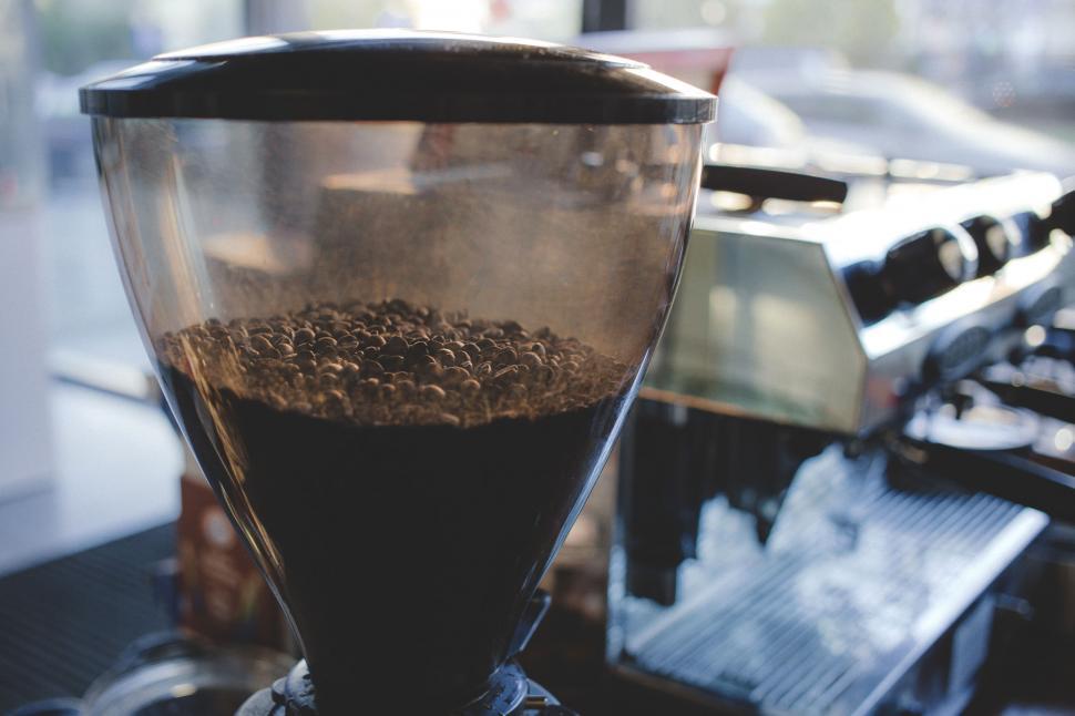 Free Image of Coffee beans in a grinder at a cafe 