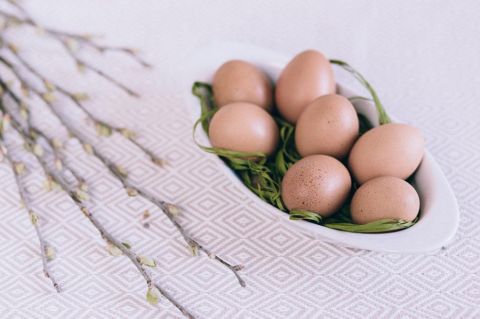 Free Image of Easter Concept with Eggs and Willow 