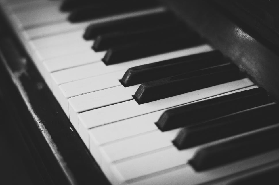 Free Image of Black and white piano keys close-up 