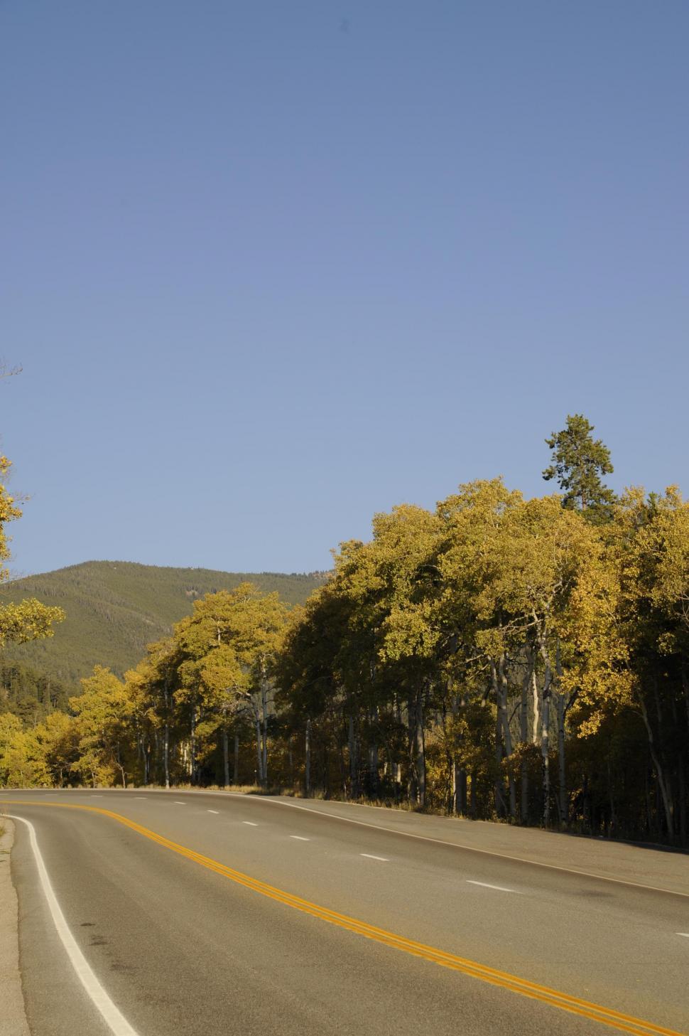 Free Image of Empty Road  