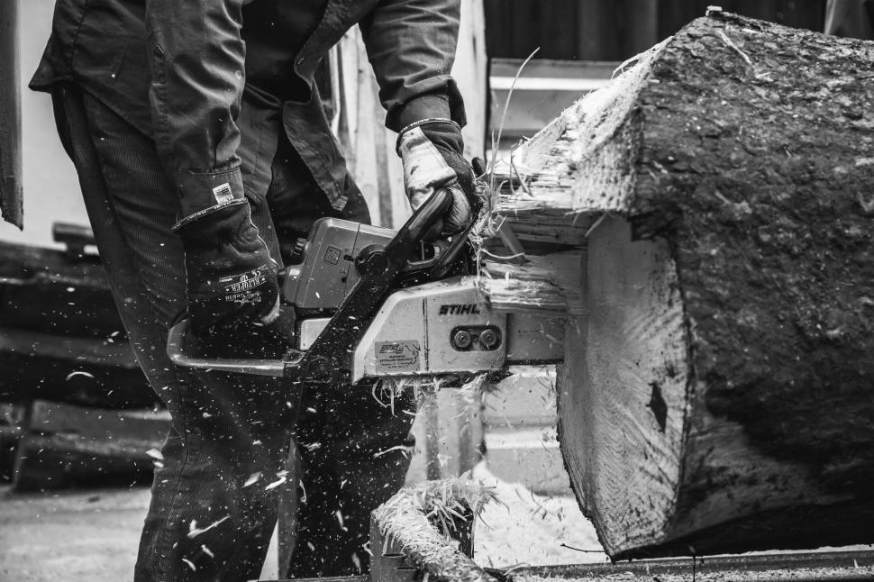 Free Image of Man cutting large log with chainsaw 