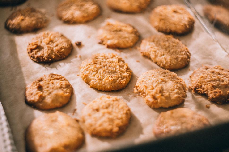 Free Image of Freshly baked oatmeal cookies on parchment 