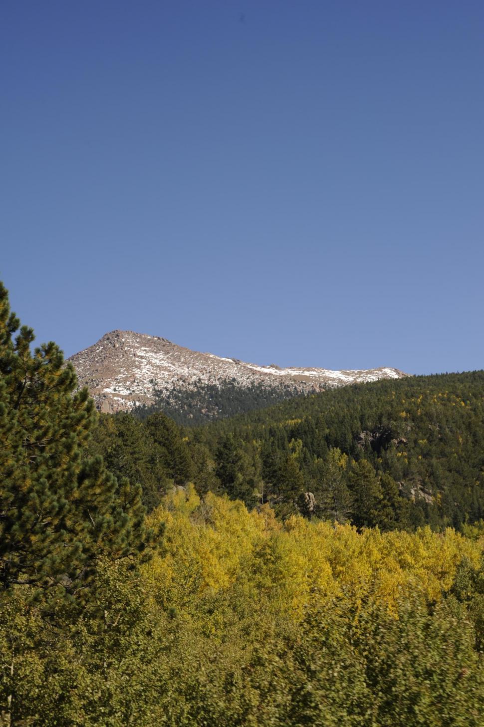Free Image of Trees and Mountains 