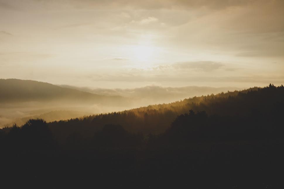 Free Image of Sunrise over misty forest landscape 