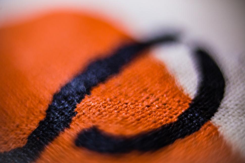 Free Image of Close-up texture of a butterfly wing 