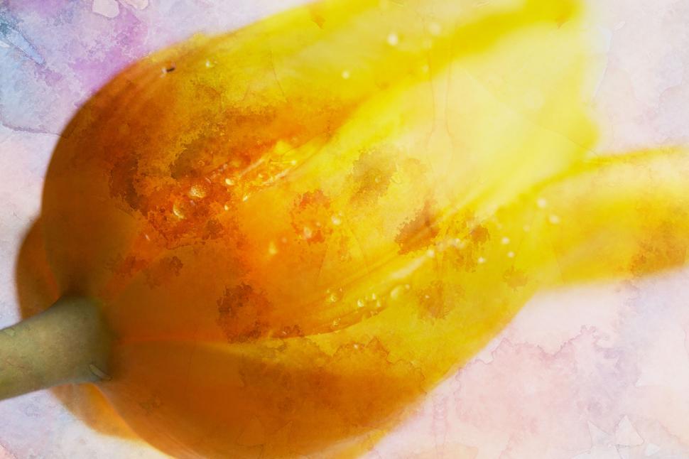 Free Image of Abstract golden leaf with sparkling effects 