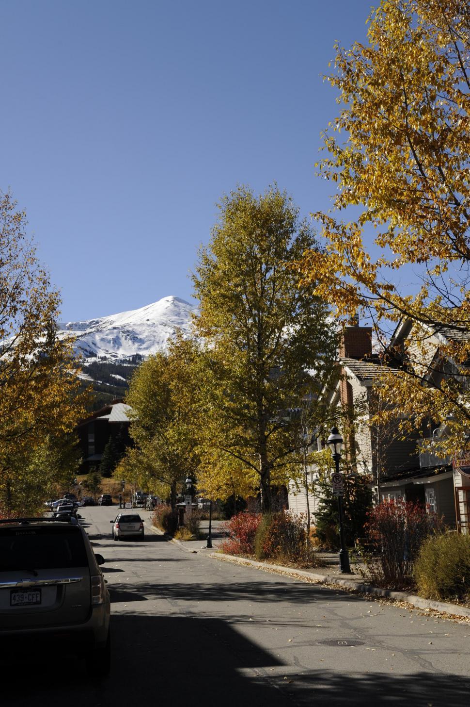 Free Image of Road in residential area 