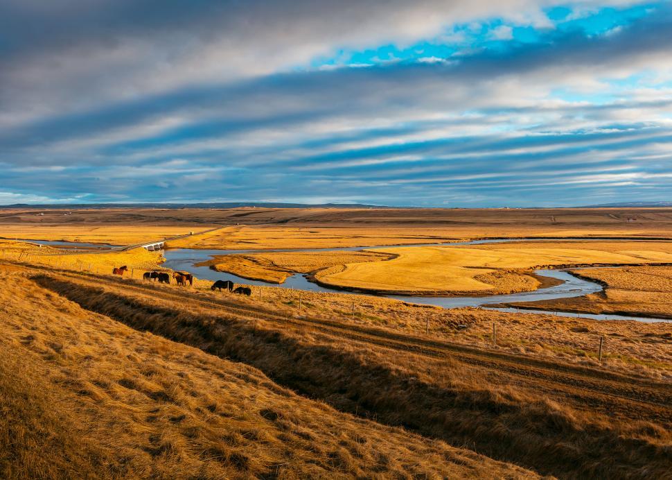 Free Image of Herd of horses grazing beside a winding river 