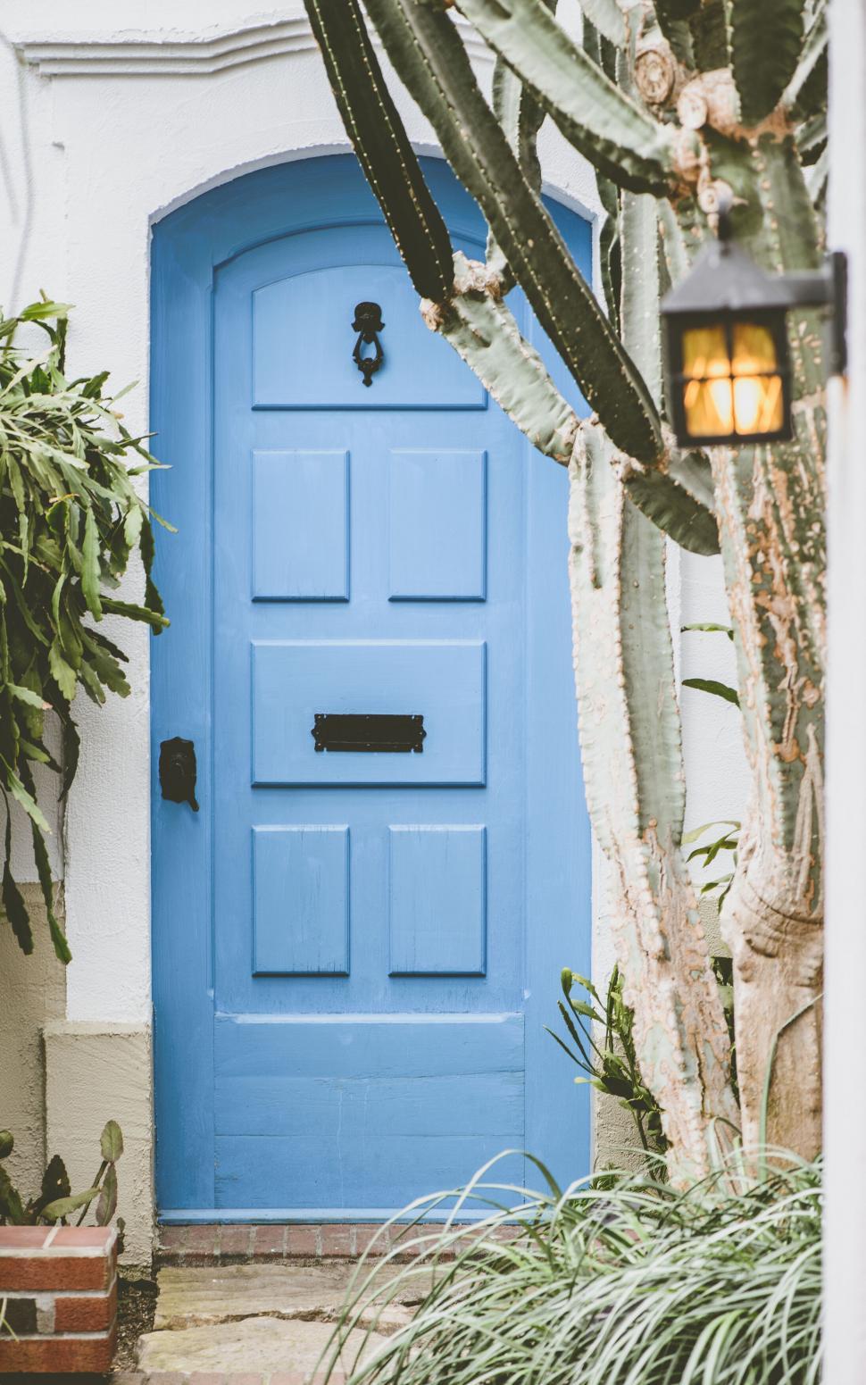 Free Image of Charming blue door with cacti around 