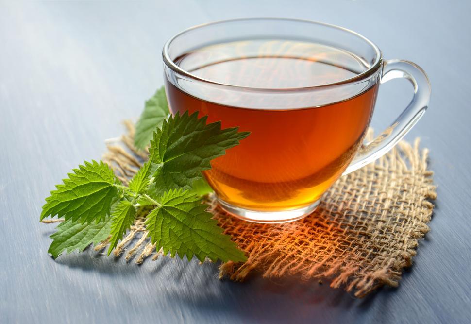 Free Image of Hot herbal tea in a clear glass cup with nettle leaves 
