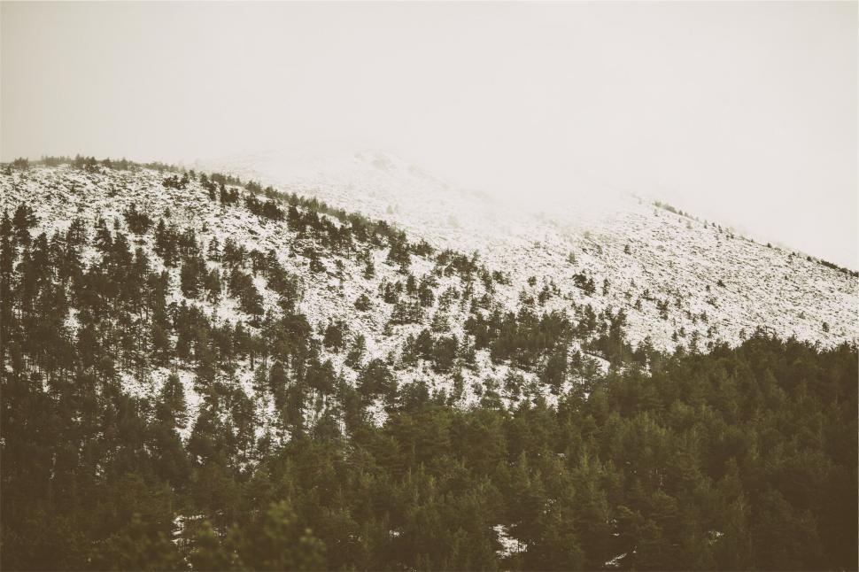 Free Image of Snowy mountain peak towering over forest 
