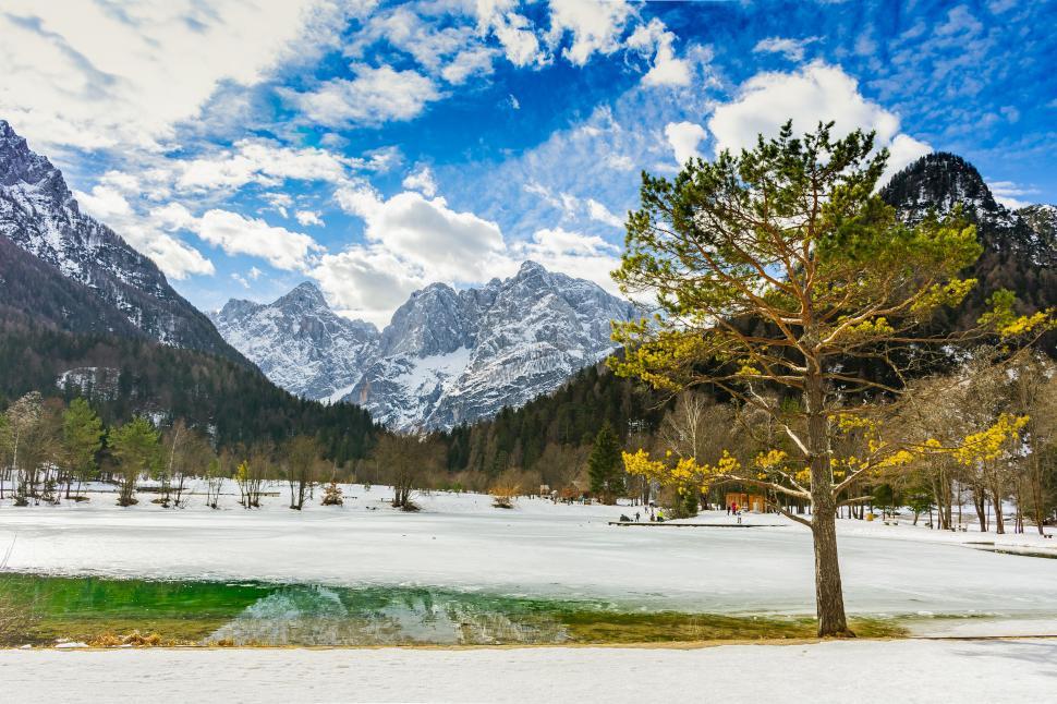 Free Image of Mountain landscape with a pine tree and melting snow 