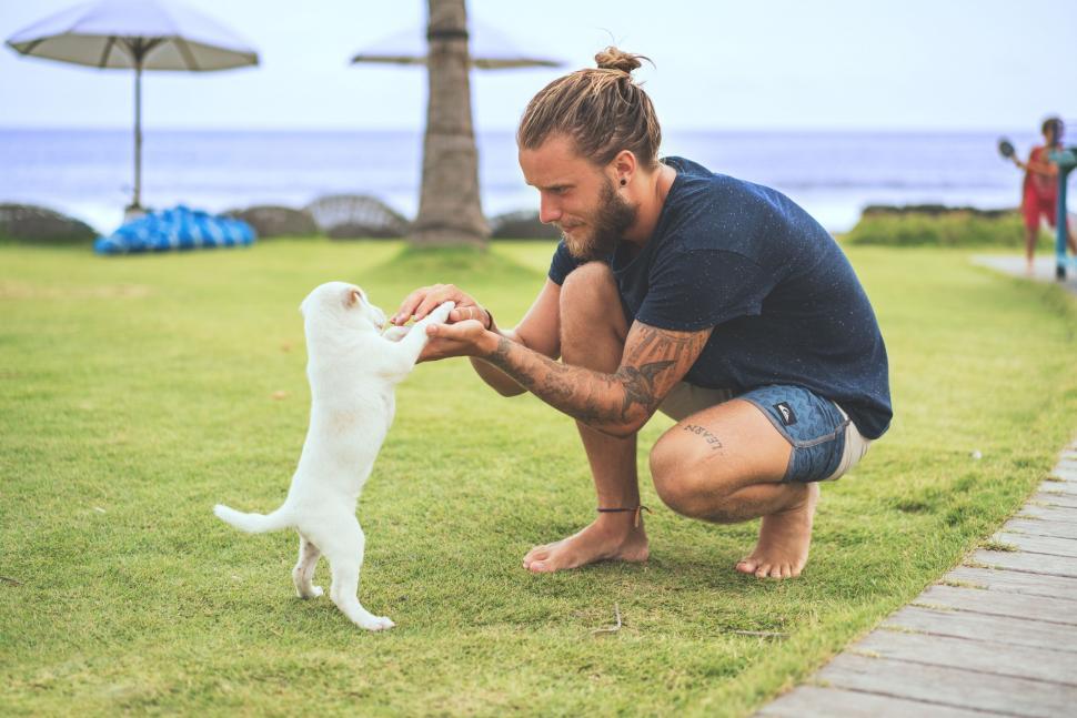 Free Image of Man playing with a dog on the beach 