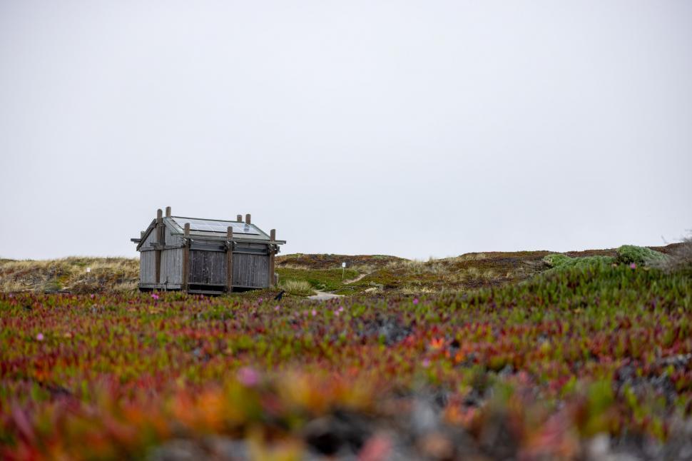 Free Image of Secluded rustic hut amid colorful foliage 