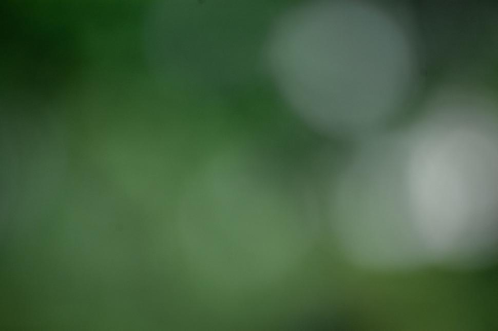 Free Image of Abstract green and white bokeh background 