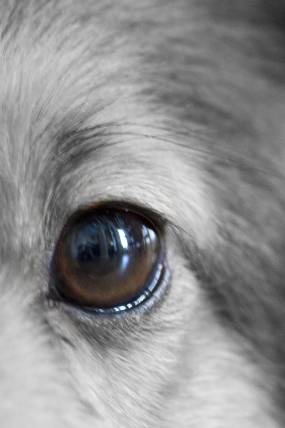 Free Image of I See Color 