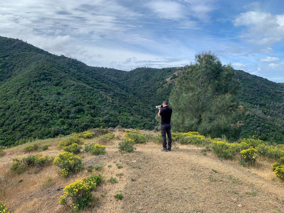 Free Image of Man taking photos of rolling hills and trees 