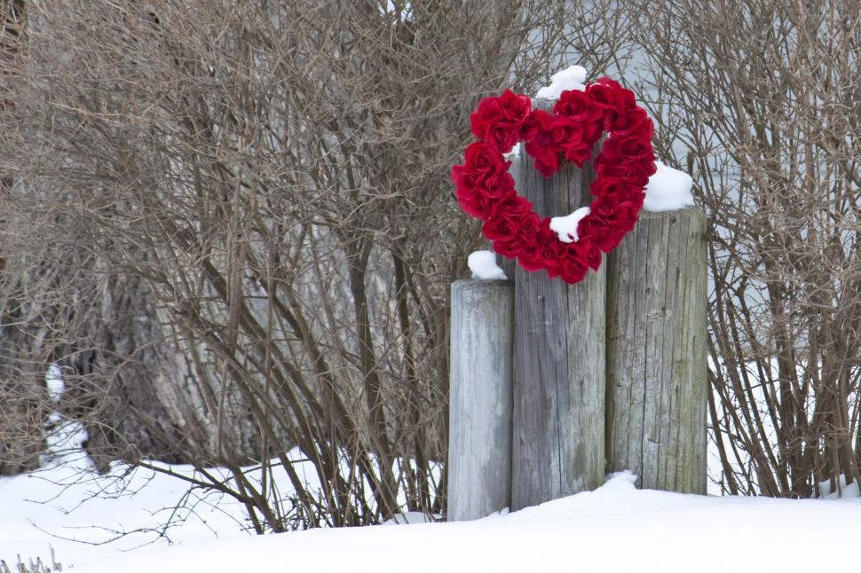 Free Image of Everyones Valentine 