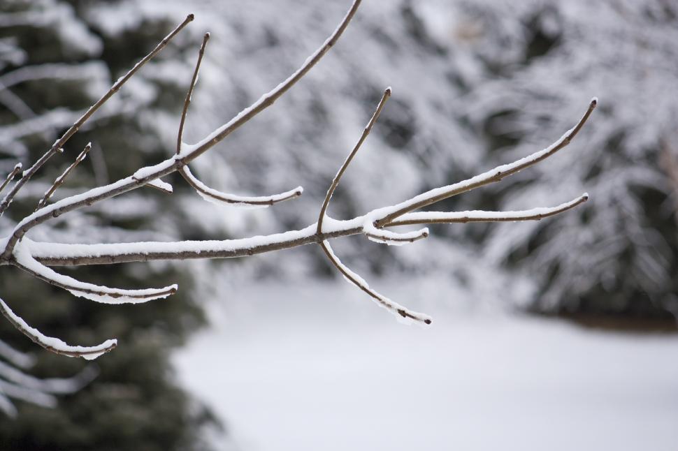 Free Image of Snow Art 