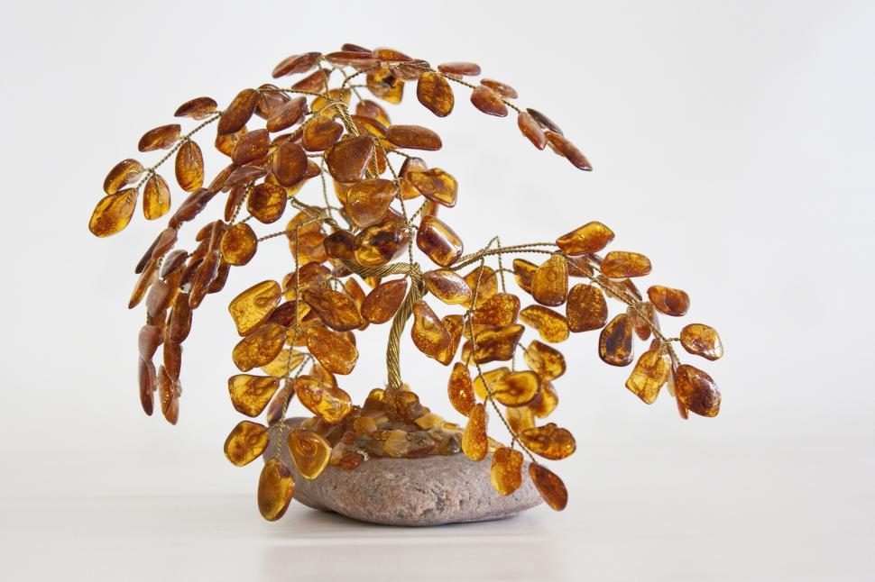 Free Image of Amber Tree 
