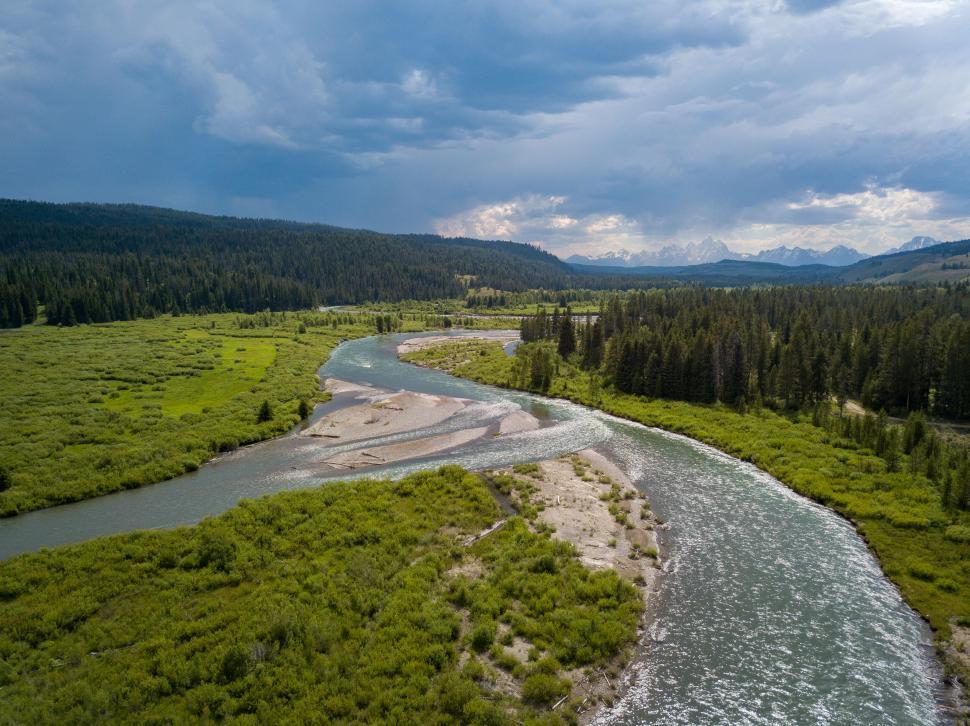 Free Image of Aerial view of a snaking river in forest 