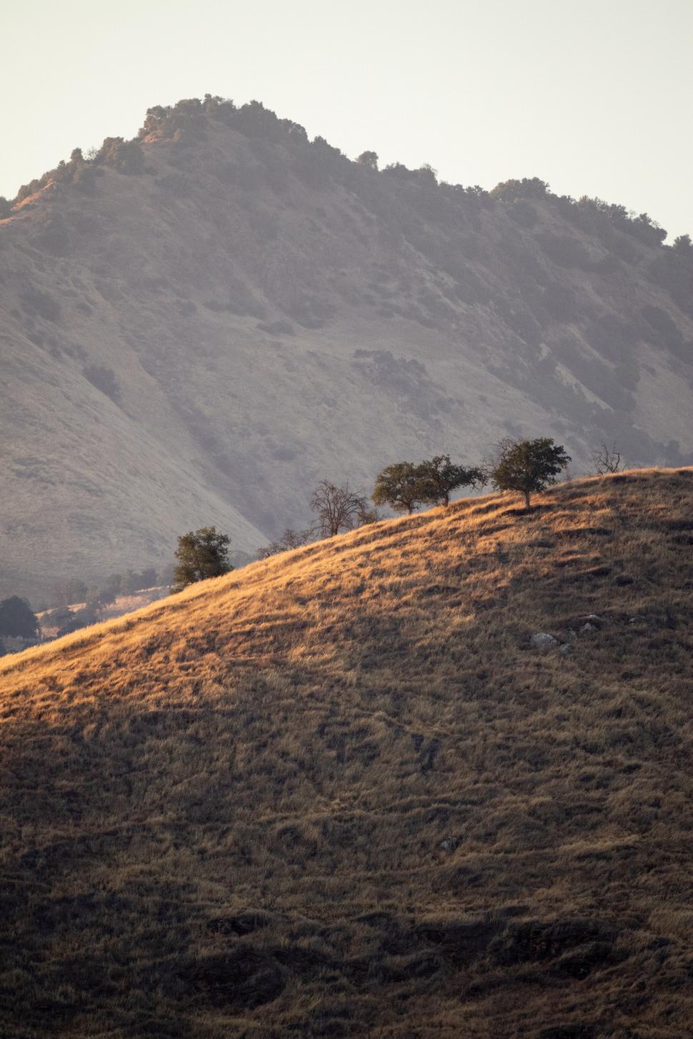 Free Image of Sunset over hill with trees and rocky textures 