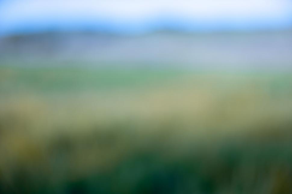 Free Image of Abstract blurred landscape of a lush field 