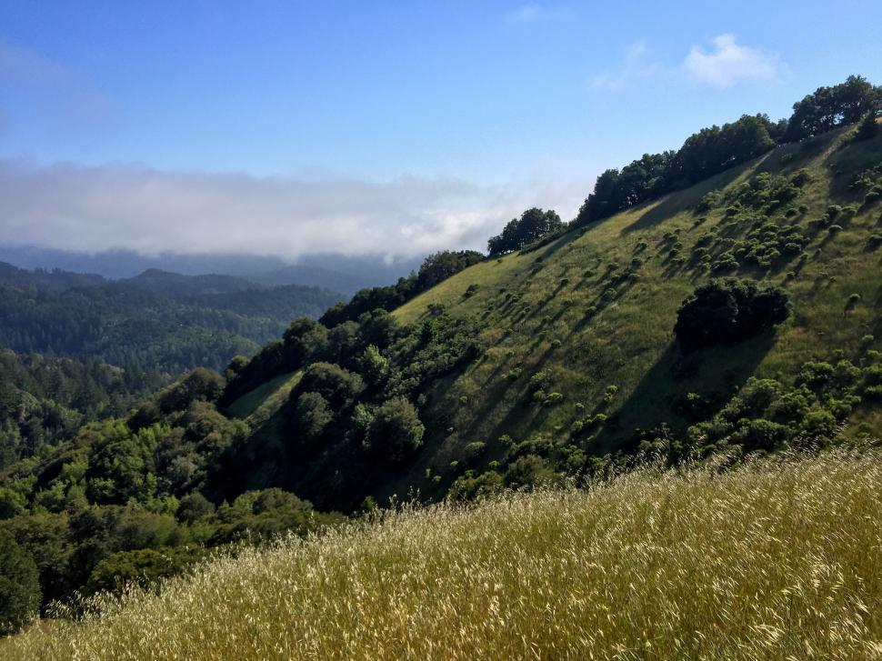 Free Image of Rolling green hills with morning mist 