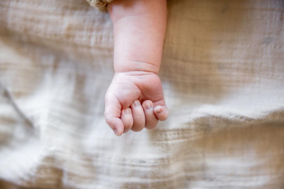 Free Image of Tiny infant hand gently clenched 