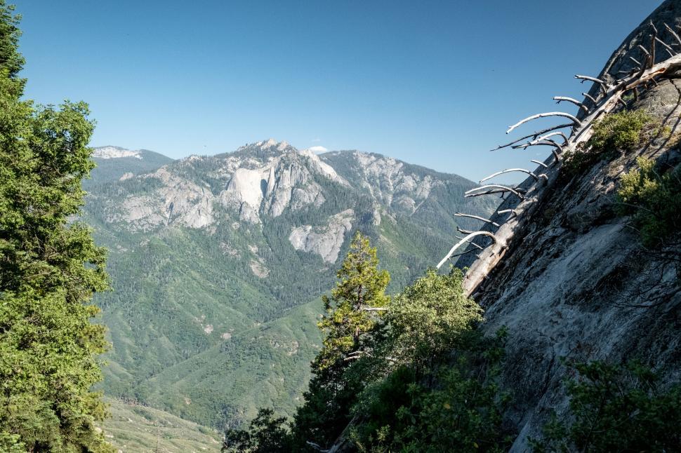 Free Image of Mountain range with trees and clear skies 