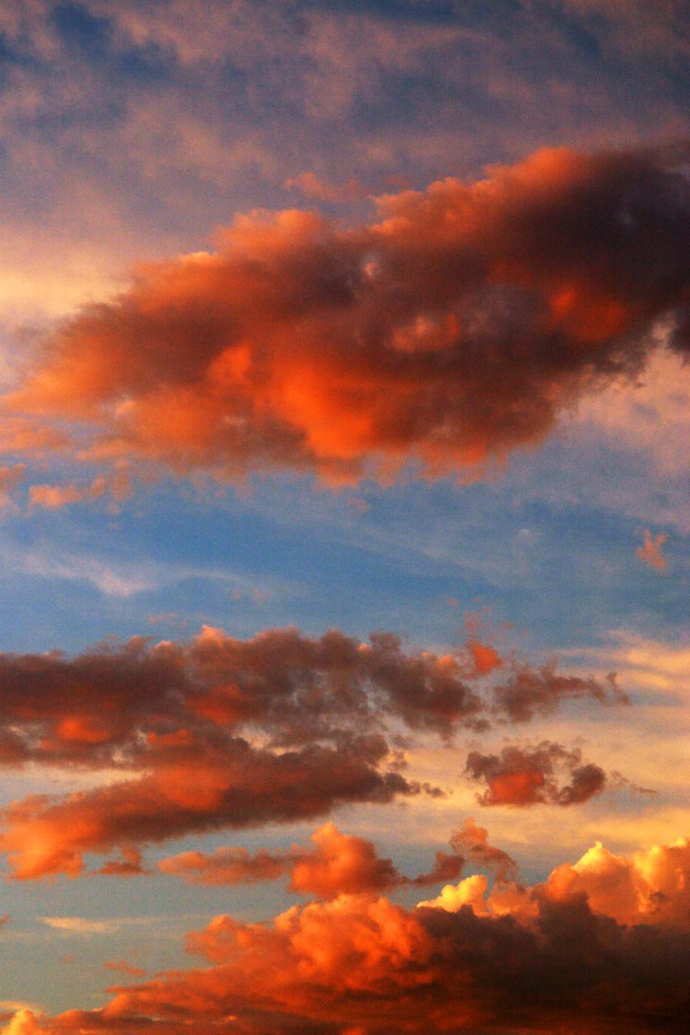 Free Image of Dramatic sky - reds 