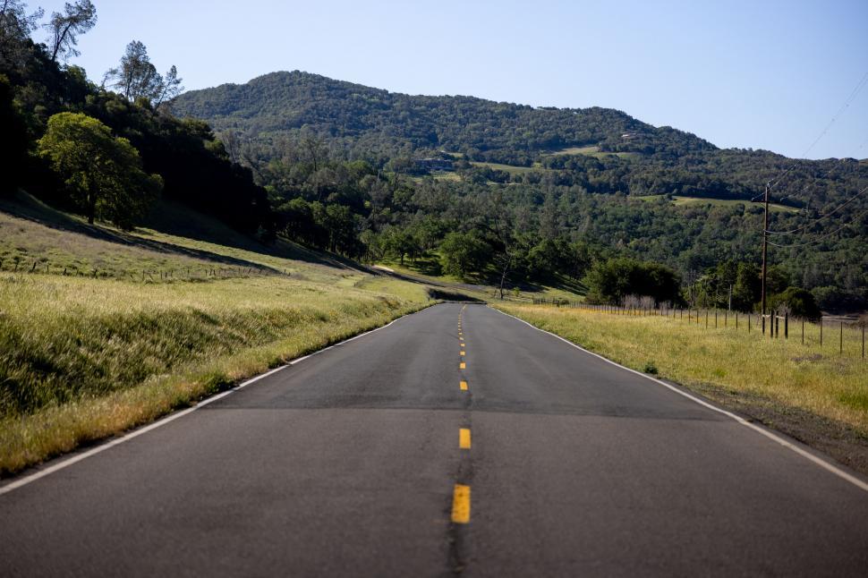Free Image of Peaceful rural road with vibrant greenery 