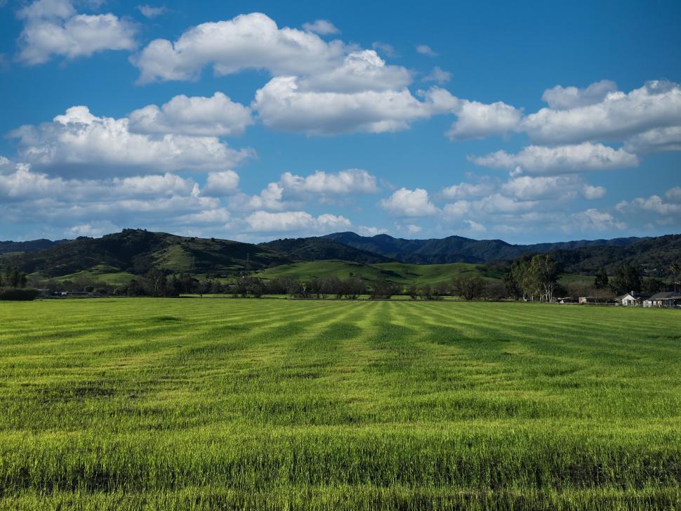 Free Image of Lush green landscape with rolling hills 