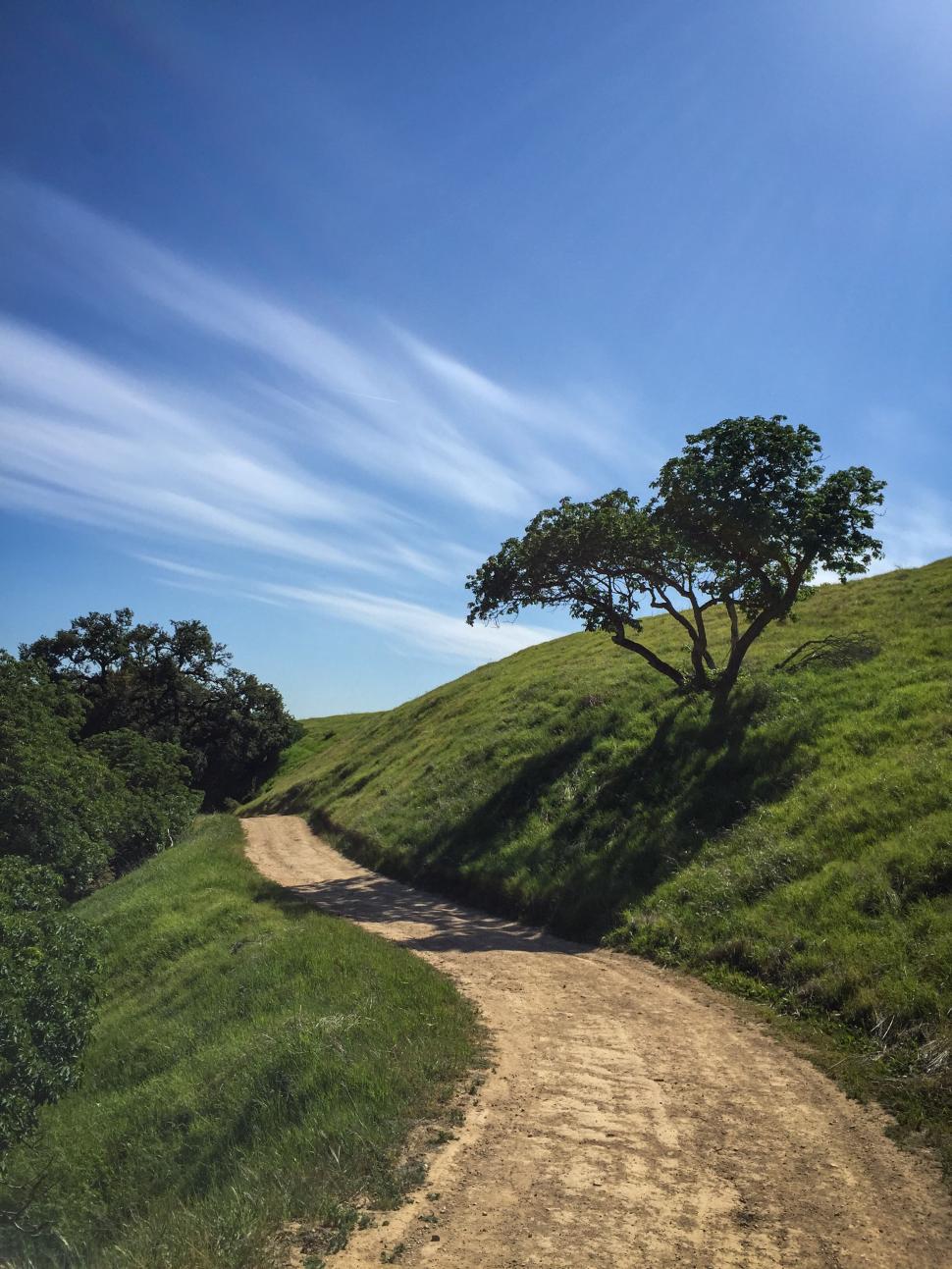 Free Image of Path through lush green countryside under blue sky 