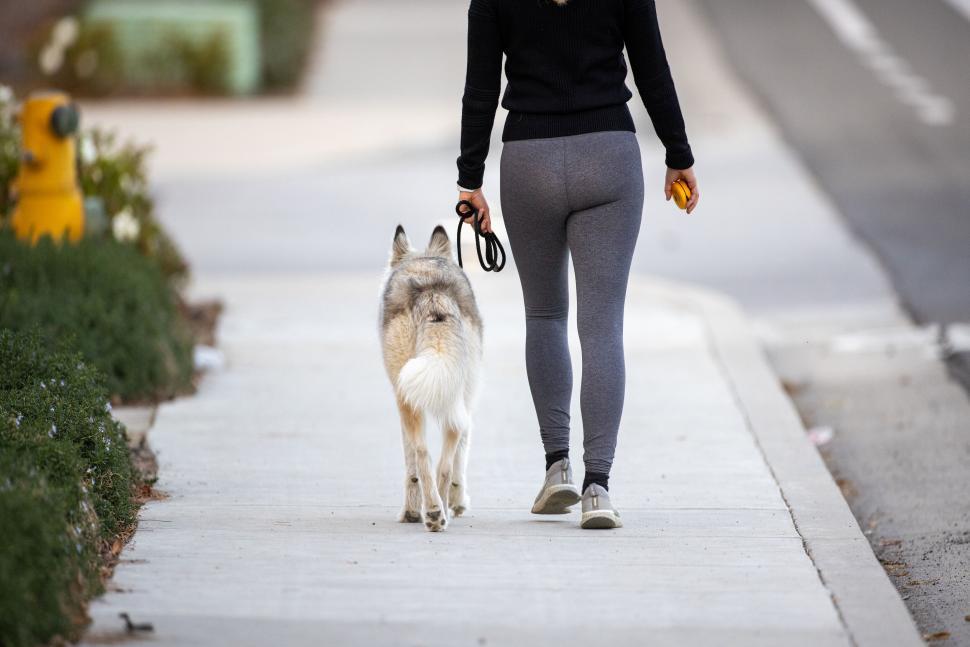 Free Image of Woman walking a dog on a sidewalk 