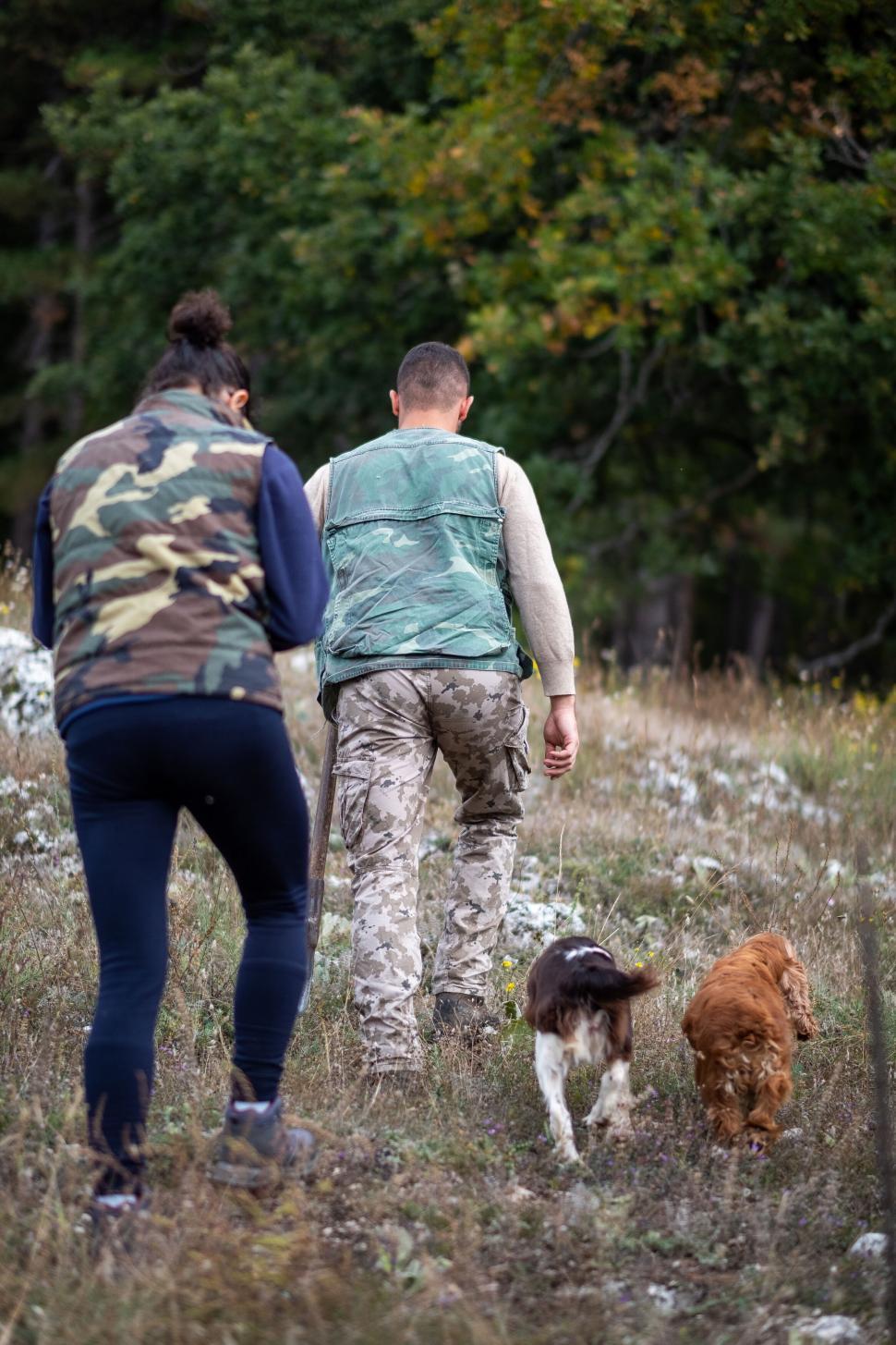 Free Image of Couple walking dogs in nature 