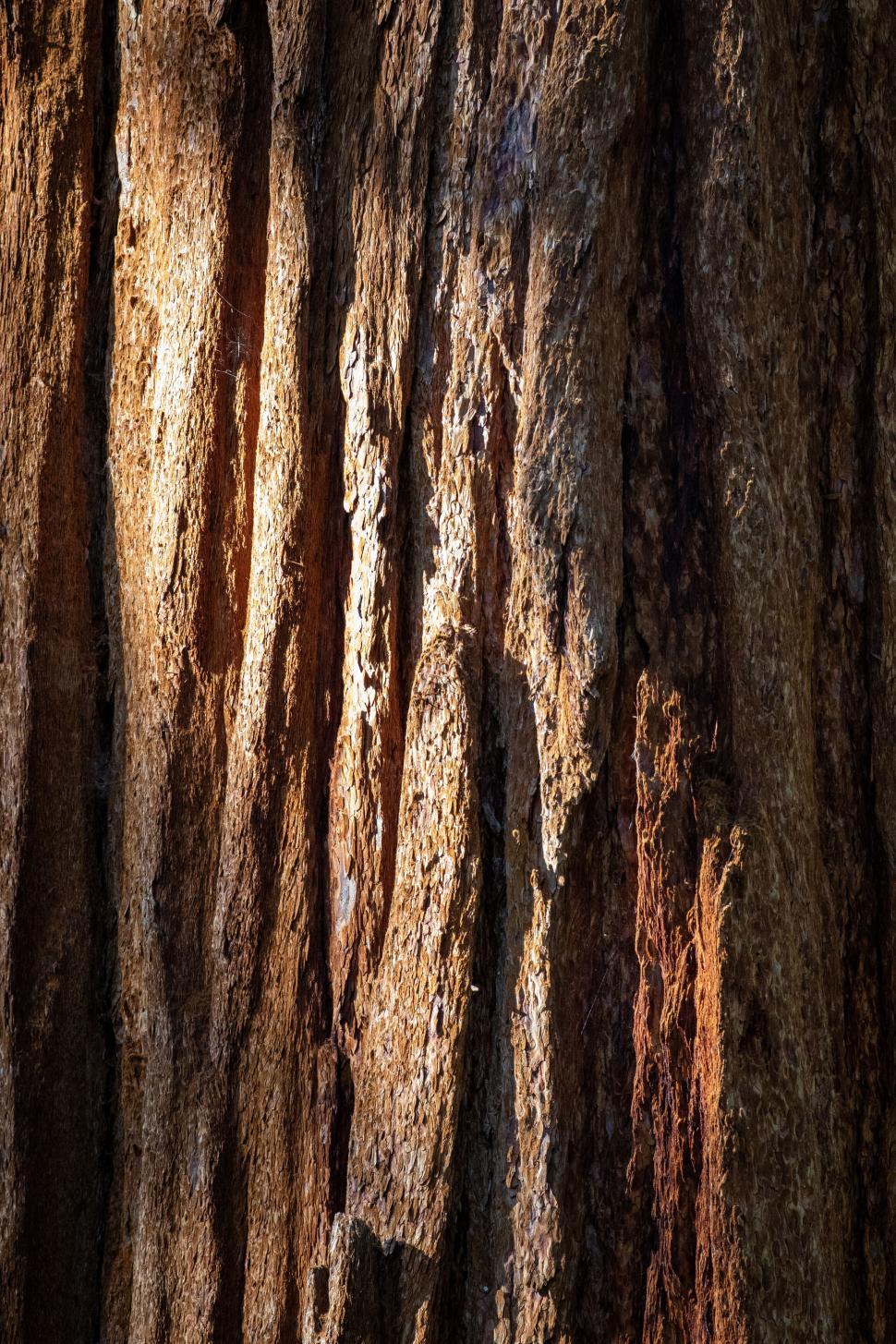 Free Image of Textured cliff surface in warm sunlight 