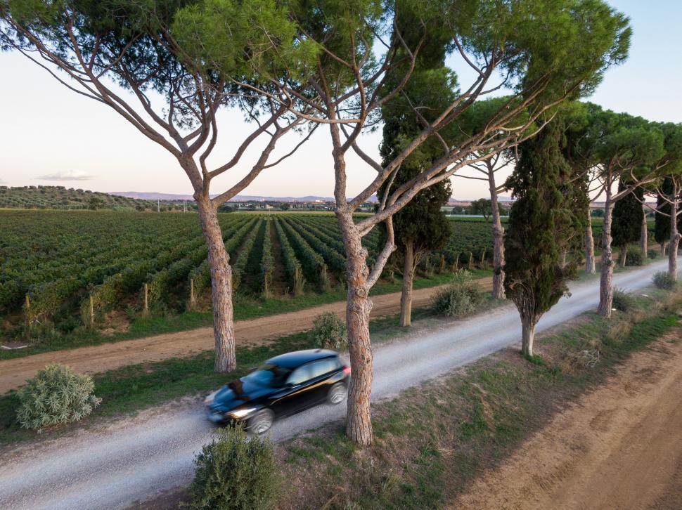 Free Image of Country road with car and trees at dusk 