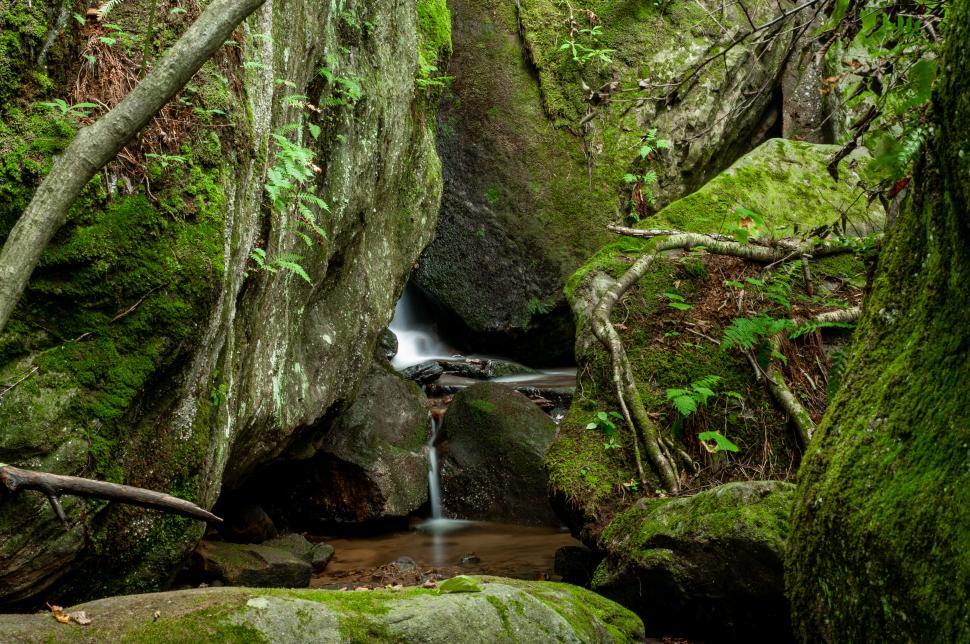 Free Image of Serene waterfall in a lush green forest 