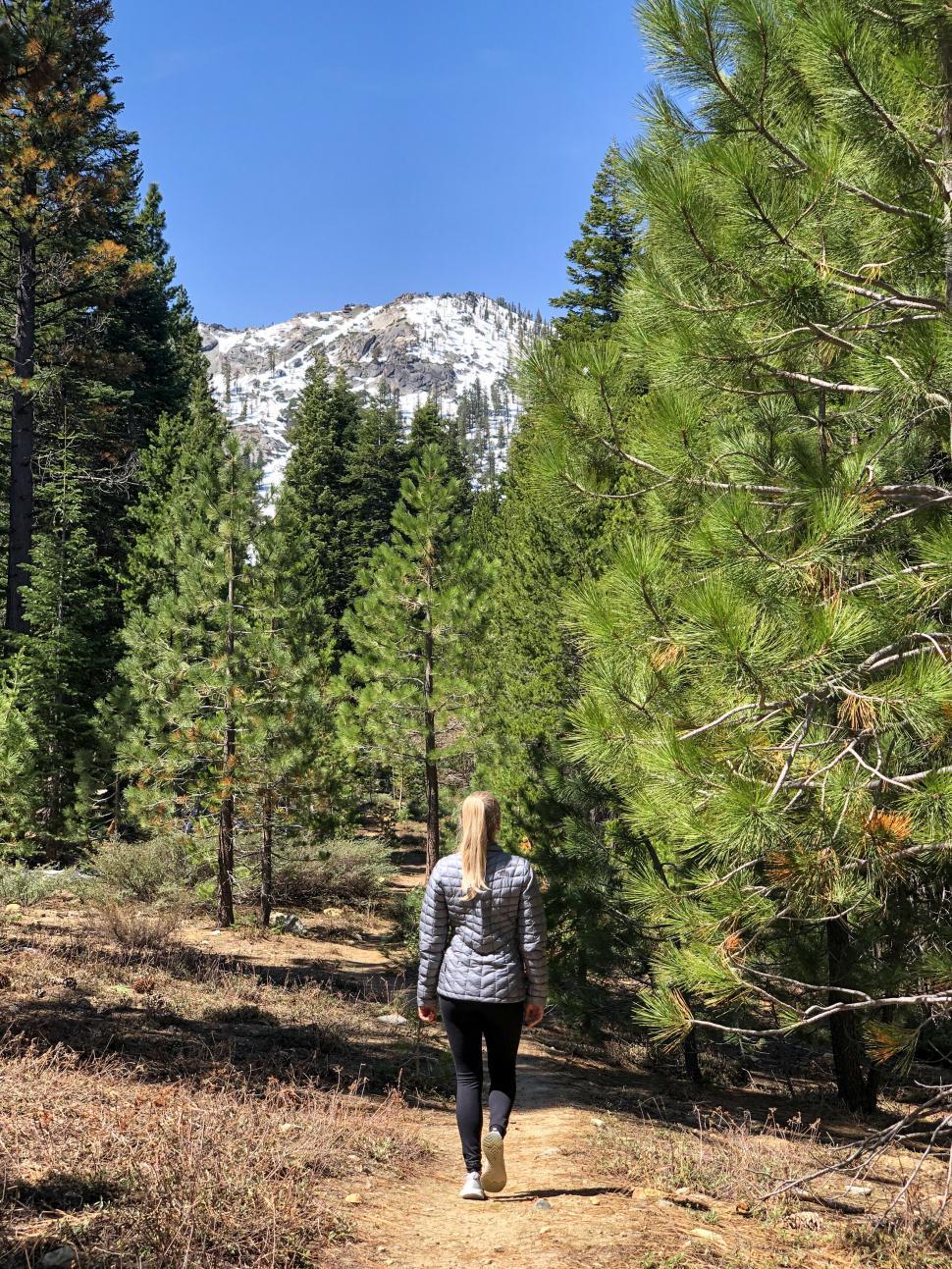 Free Image of Woman hiking towards snowy mountain peak 